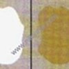 MONİL 304 –316 Ayıracı